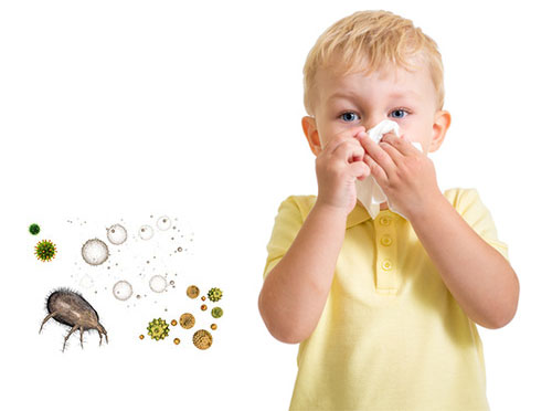 Air Duct Mold Removal